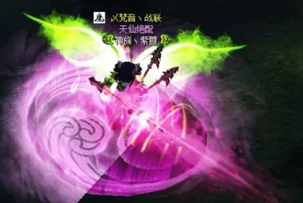 适当自如战场节奏全在掌控中集体损伤力强概率定身加倍损伤